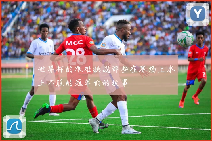 世界杯的艰难挑战那些在赛场上水土不服的冠军们的故事