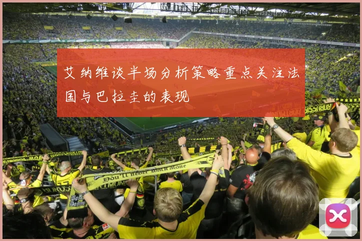 艾纳维谈半场分析策略重点关注法国与巴拉圭的表现