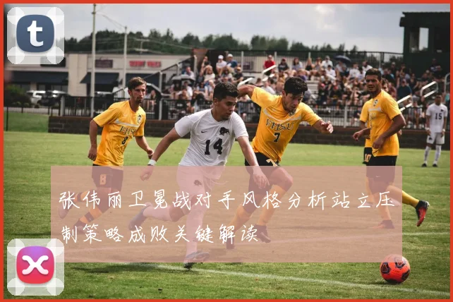 张伟丽卫冕战对手风格分析站立压制策略成败关键解读
